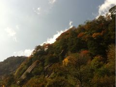 -陕西省红河谷森林公园