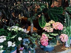 -萤火虫咖啡(后海店)