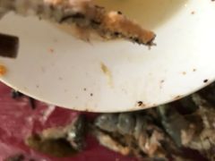 -盘龙黄鳝(盘龙居店)