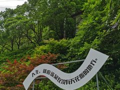 -长谷洞天