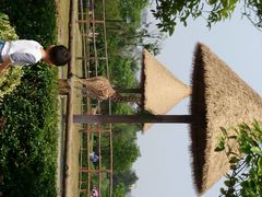 android_upload_pic-南昌动物园