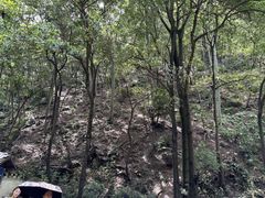 -黔灵山公园