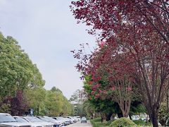 -丽江三义国际机场
