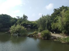 -水绘园