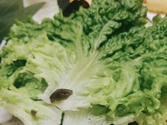 -呷哺呷哺(通辽万达店)