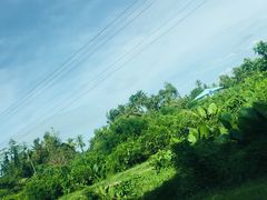 -ventus spa 沙巴亚庇正宗精油按摩会所