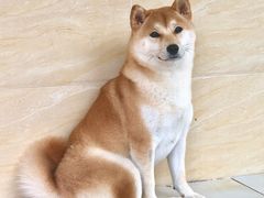 -九峰山