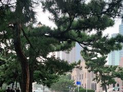 -栈桥景区