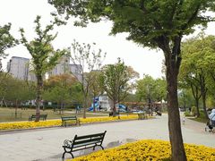 -新江湾城公园