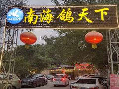 -南海鸽天下(肇庆店)