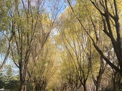 -唐城墙遗址公园