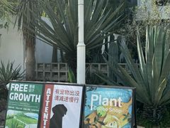 -自由生长植物工作室(深港花卉中心店)