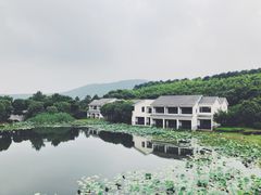 -苏州环秀晓筑养生度假村