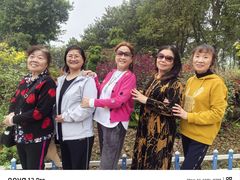 -铁山坪森林公园