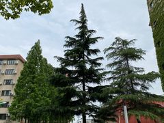 -上海财经大学(国定路校区)