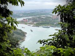 -铁山坪森林公园