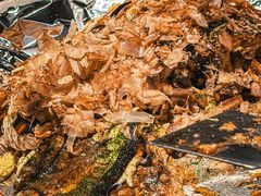 -日葵 大阪烧ひまり(仙霞路店)