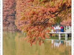 -中国科学院华南植物园
