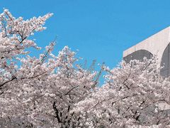 -龙美术馆(西岸馆)