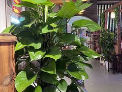 -莽子老火锅(大坪店)
