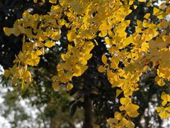 -白鹭湾湿地公园