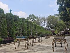 -广东圆玄道观