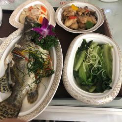 -宝生月子中心(民治店)