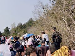 -木兰云雾山