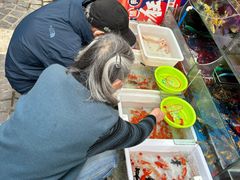 -曲阳花鸟市场(曲阳路店)
