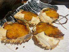 -Mr.Fish鱼鲜生海鲜放题(高德置地冬广场店)