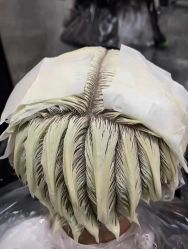 -ASG Hair Salon烫染·接发