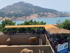 -西霞口神雕山野生动物世界