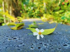 -广州锦绣香江度假别墅