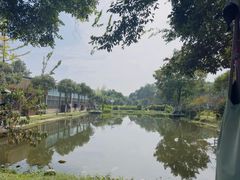 -洪湖家庭农场·团建·露营·会议