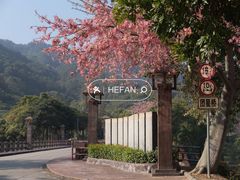 -风云岭森林公园