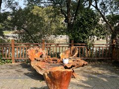 -花锦堂·隐庐