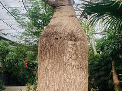-北京植物园-展览温室