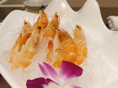 -黑松白鹿(金融街店)
