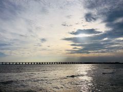 -宝安西湾红树林湿地公园