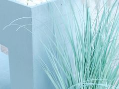 大堂-Something For(中洲湾店)