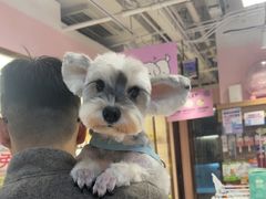 -FAELING PETS美天灵宠物(富力广场店)
