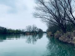 -西溪国家湿地公园