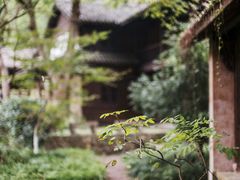 -杭州植物园