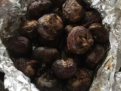 马蒂-御霞苑泥烩鸡休闲农庄