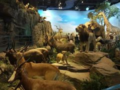 -陕西自然博物馆