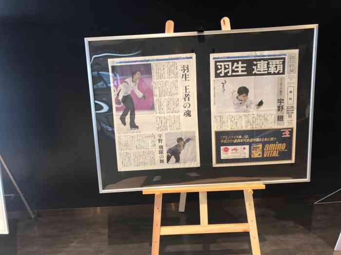 ice rink(sendai)-"从仙台市区大老远跑到这个冰场的必须都是真.