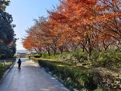 -蠡湖大桥公园