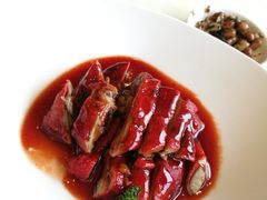 -圆苑(上海广场店)