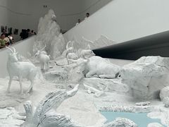 -中国湿地博物馆