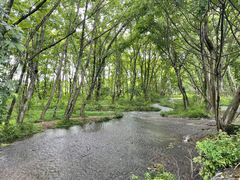 -西溪南古村落